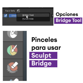 Opciones Sculpt Bridge