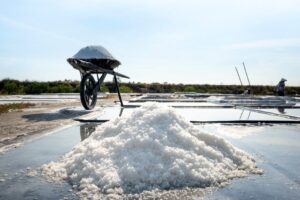 A detailed view of salt harvesting with a wheelbarrow in a coastal salt pan.